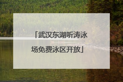武汉东湖听涛泳场免费泳区开放