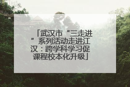 武汉市“三走进”系列活动走进江汉：跨学科学习促课程校本化升级