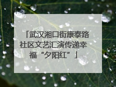 武汉湘口街康泰路社区文艺汇演传递幸福“夕阳红”