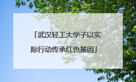 武汉轻工大学子以实际行动传承红色基因