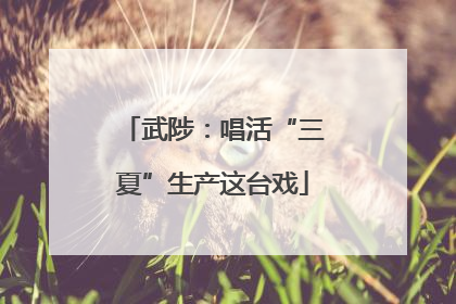 武陟：唱活“三夏”生产这台戏