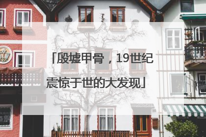殷墟甲骨，19世纪震惊于世的大发现