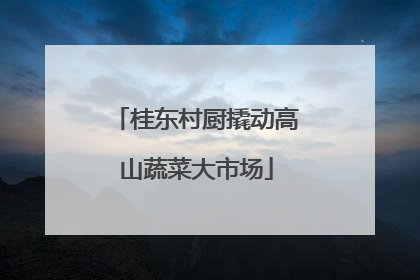 桂东村厨撬动高山蔬菜大市场