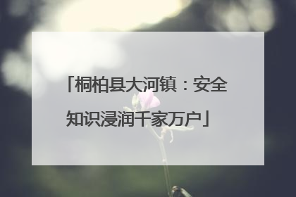 桐柏县大河镇：安全知识浸润千家万户