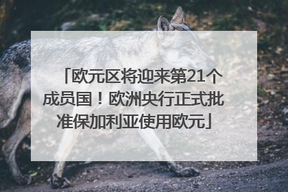 欧元区将迎来第21个成员国！欧洲央行正式批准保加利亚使用欧元