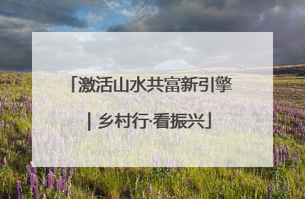 激活山水共富新引擎｜乡村行·看振兴