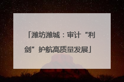 潍坊潍城：审计“利剑”护航高质量发展