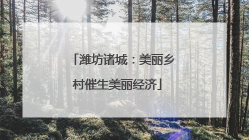 潍坊诸城：美丽乡村催生美丽经济