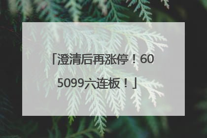 澄清后再涨停！605099六连板！
