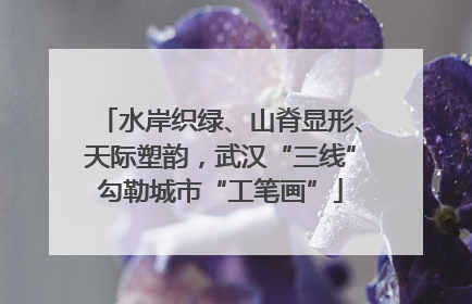 水岸织绿、山脊显形、天际塑韵，武汉“三线”勾勒城市“工笔画”
