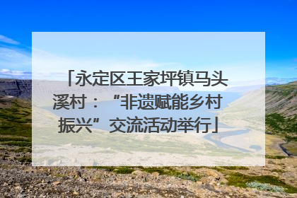 永定区王家坪镇马头溪村：“非遗赋能乡村振兴”交流活动举行