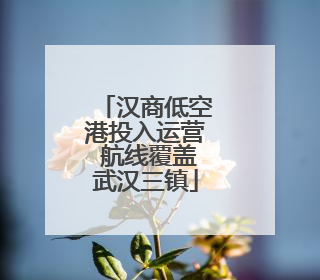 汉商低空港投入运营 航线覆盖武汉三镇