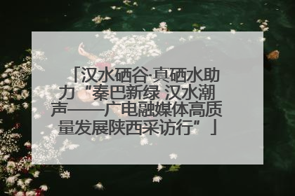 汉水硒谷·真硒水助力“秦巴新绿 汉水潮声——广电融媒体高质量发展陕西采访行”