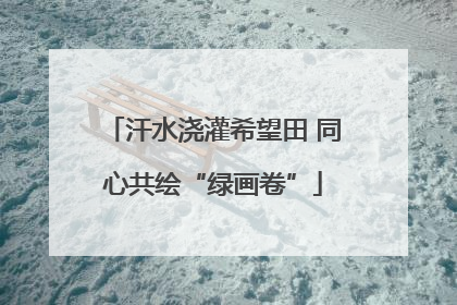 汗水浇灌希望田 同心共绘“绿画卷”