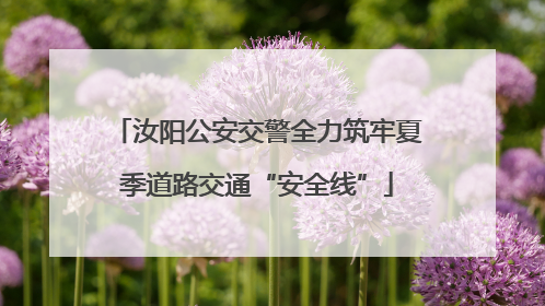 汝阳公安交警全力筑牢夏季道路交通“安全线”