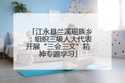 江永县兰溪瑶族乡：组织三级人大代表开展“三会三文”精神专题学习