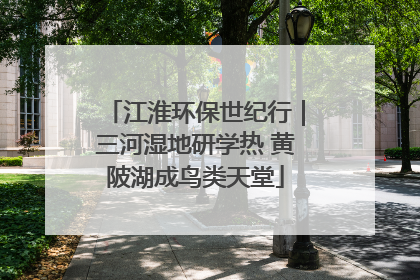 江淮环保世纪行｜三河湿地研学热 黄陂湖成鸟类天堂