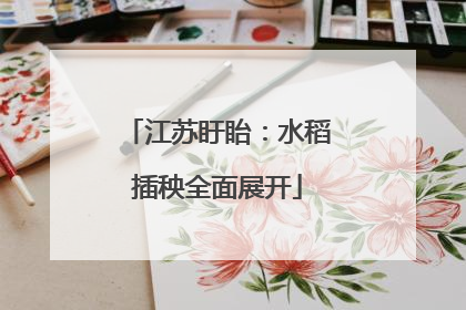 江苏盱眙：水稻插秧全面展开