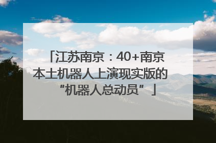 江苏南京：40+南京本土机器人上演现实版的“机器人总动员”