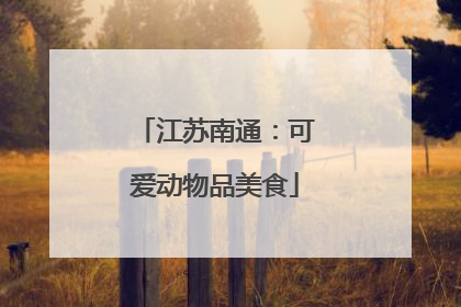 江苏南通：可爱动物品美食