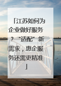 江苏如何为企业做好服务？“适配”新需求，惠企服务还需更精准