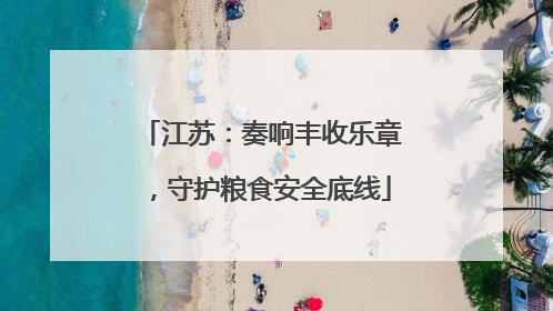江苏：奏响丰收乐章，守护粮食安全底线