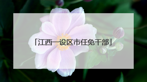 江西一设区市任免干部