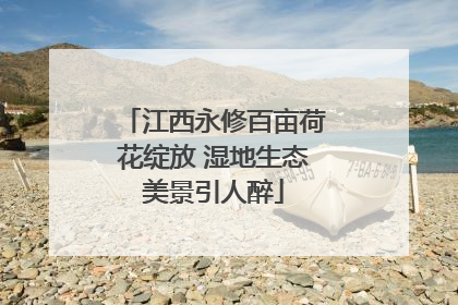 江西永修百亩荷花绽放 湿地生态美景引人醉