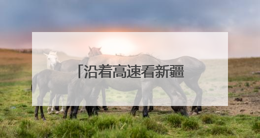 沿着高速看新疆丨火热“夜”态点亮丝路会客厅