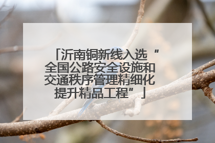 沂南铜新线入选“全国公路安全设施和交通秩序管理精细化提升精品工程”