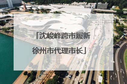 沈峻峰跨市履新徐州市代理市长