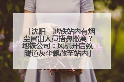 沈阳一地铁站内有烟尘冒出人员捂鼻撤离？地铁公司：风机开启致隧道灰尘飘散至站内