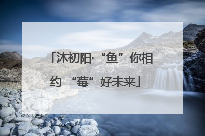 沐初阳·“鱼”你相约 “莓”好未来