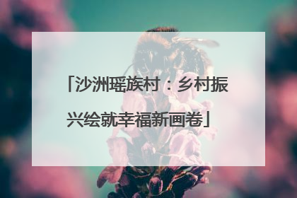 沙洲瑶族村：乡村振兴绘就幸福新画卷