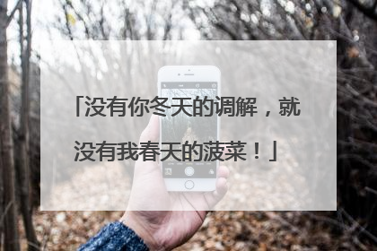 没有你冬天的调解，就没有我春天的菠菜！