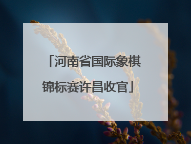 河南省国际象棋锦标赛许昌收官