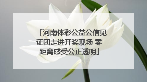 河南体彩公益公信见证团走进开奖现场 零距离感受公正透明