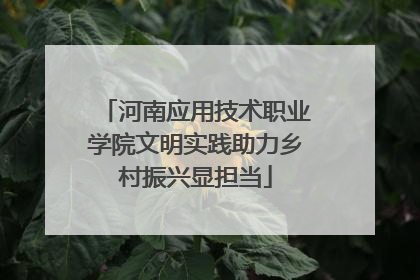 河南应用技术职业学院文明实践助力乡村振兴显担当