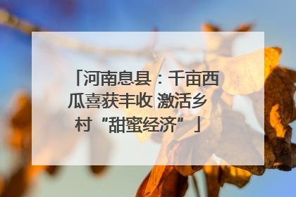 河南息县：千亩西瓜喜获丰收 激活乡村“甜蜜经济”