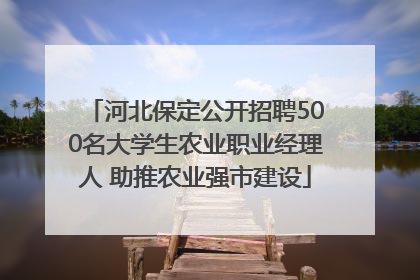 河北保定公开招聘500名大学生农业职业经理人 助推农业强市建设