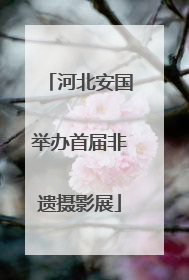 河北安国举办首届非遗摄影展