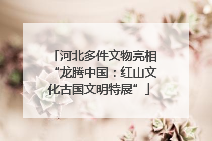 河北多件文物亮相“龙腾中国：红山文化古国文明特展”