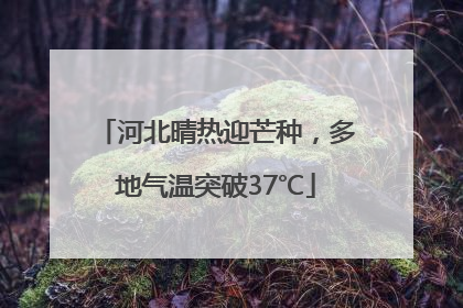 河北晴热迎芒种，多地气温突破37℃