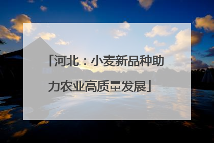 河北：小麦新品种助力农业高质量发展
