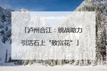 泸州合江：统战助力引活石上“致富花”