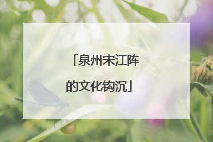 泉州宋江阵的文化钩沉