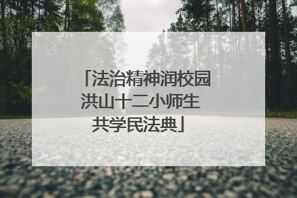 法治精神润校园 洪山十二小师生共学民法典