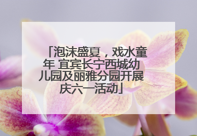 泡沫盛夏，戏水童年 宜宾长宁西城幼儿园及丽雅分园开展庆六一活动