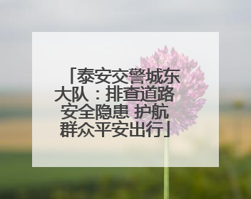 泰安交警城东大队：排查道路安全隐患 护航群众平安出行