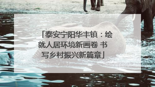 泰安宁阳华丰镇：绘就人居环境新画卷 书写乡村振兴新篇章